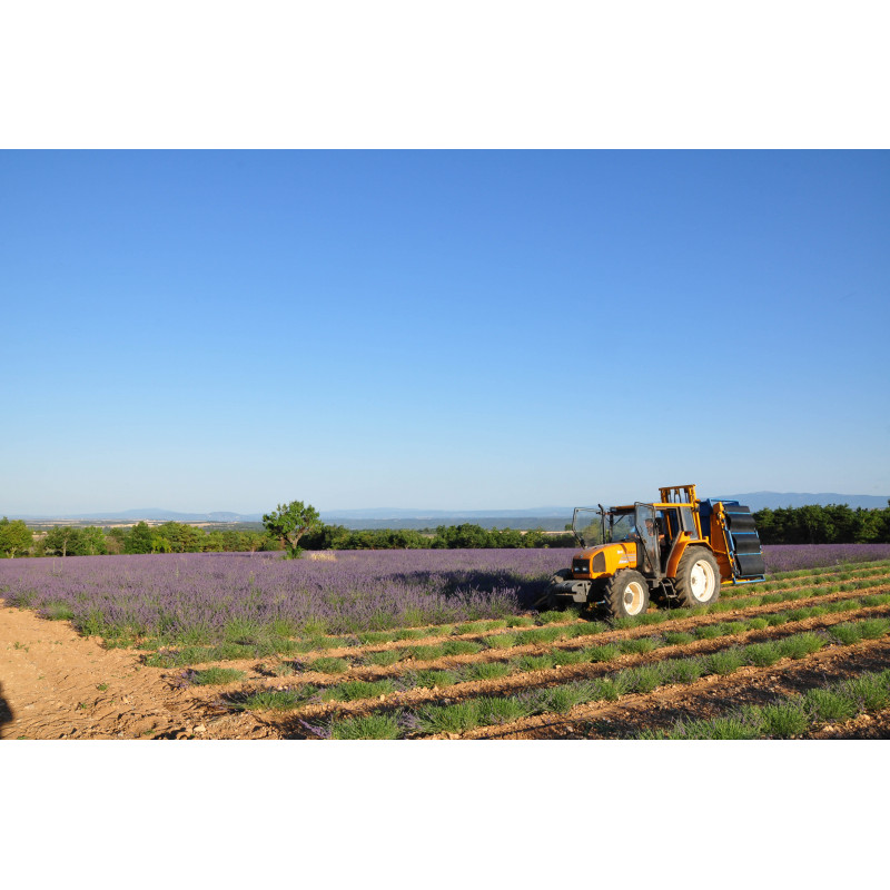 VALENSOLE,  Sur les Routes...